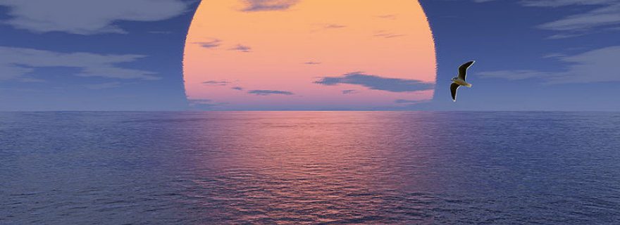 De Universiteitsraad en het toekomstige Instellingsplan “Excelleren in Vrijheid”